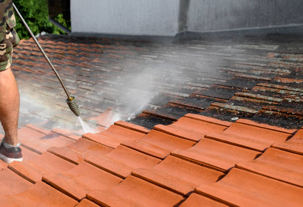 Best Pressure Washing Company Near Me  in Rutledge, GA